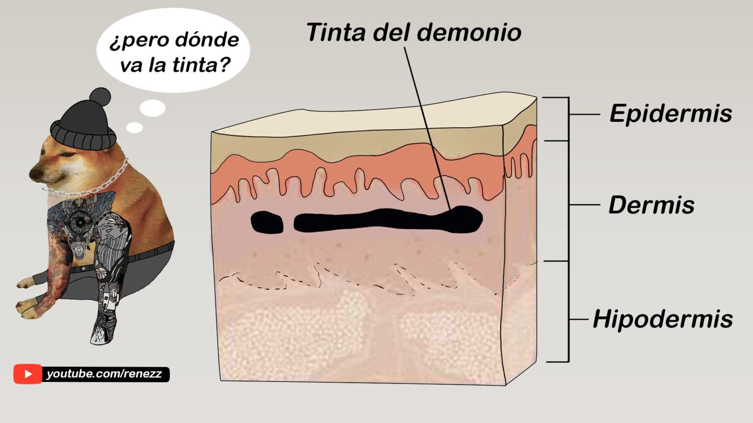 ¿Cómo curar tus tatuajes? Guía definitiva y resultado perfecto Rene ZZ